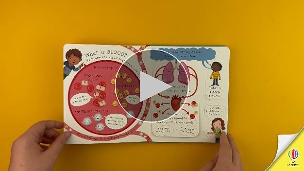 Very First Questions and Answers What's Inside Me?: Daynes